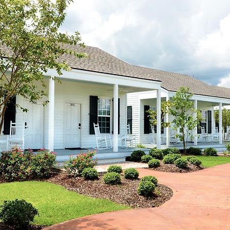 Nottoway Plantation And Resort White Castle Exterior foto