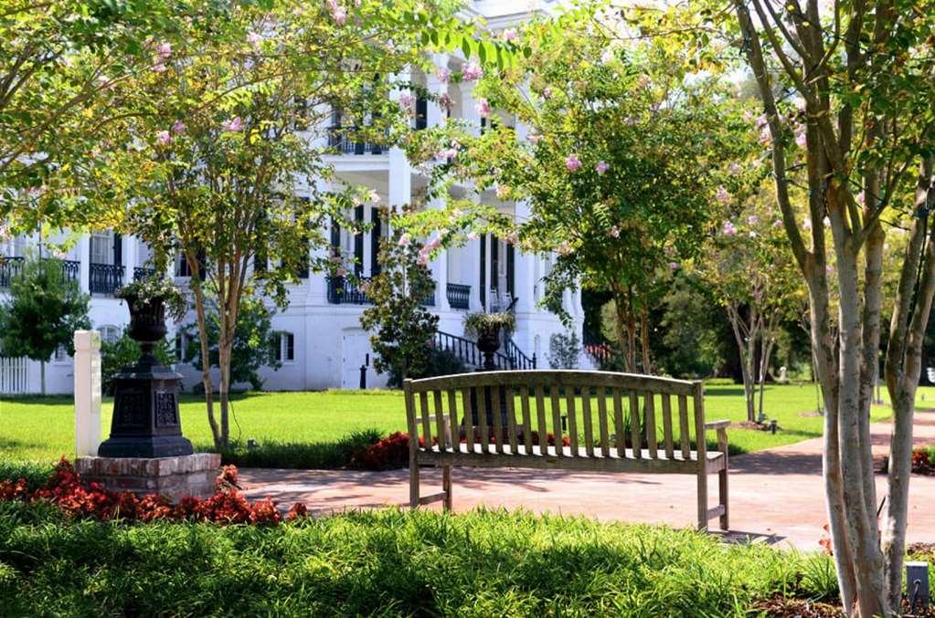 Nottoway Plantation And Resort White Castle Exterior foto