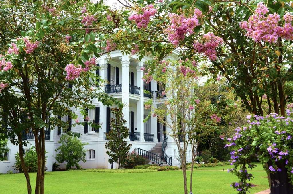 Nottoway Plantation And Resort White Castle Exterior foto